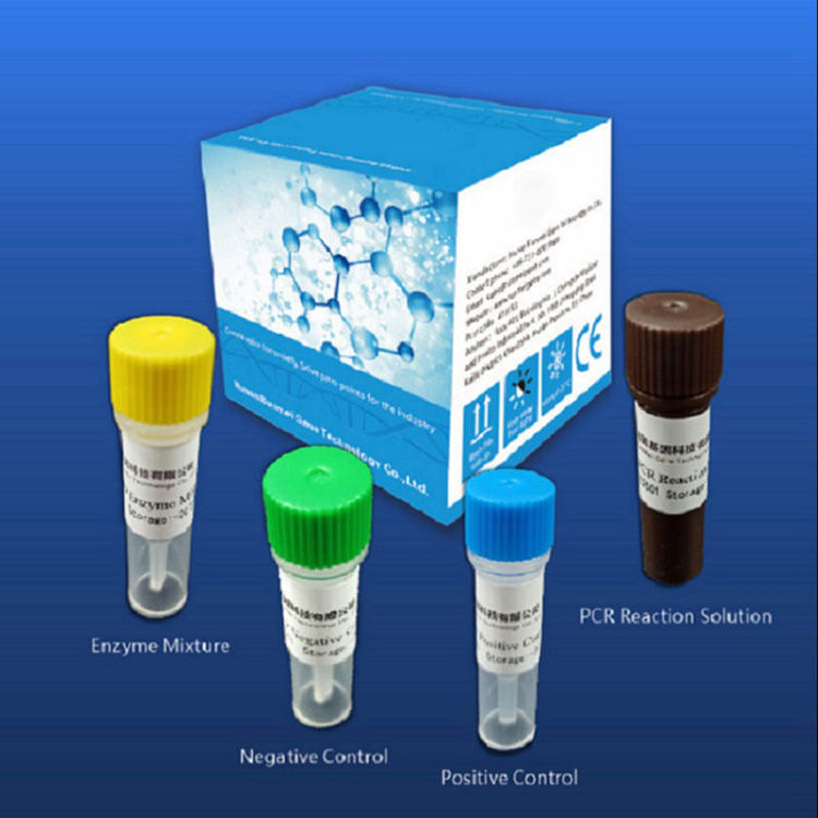 Los kits de prueba de diagnóstico de reactivos para Covid-2019 dependen de la plataforma Pcr en tiempo real